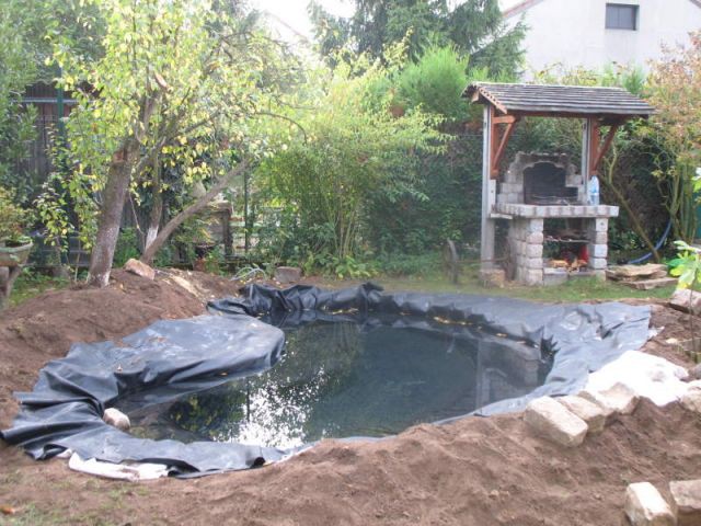 Avant/après : 1 bassin pour redonner vie à 1 jardin