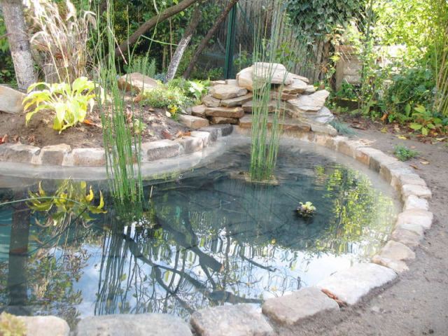 Comment entretenir un bassin de jardin