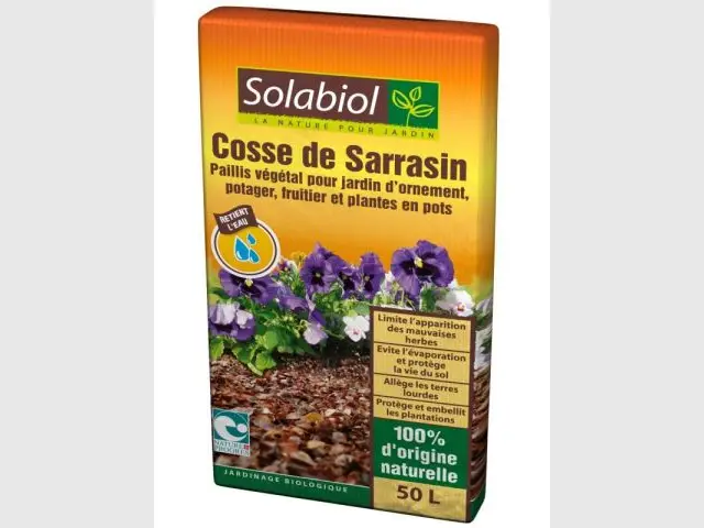 Cosse de sarrasin - Prix éco-produit