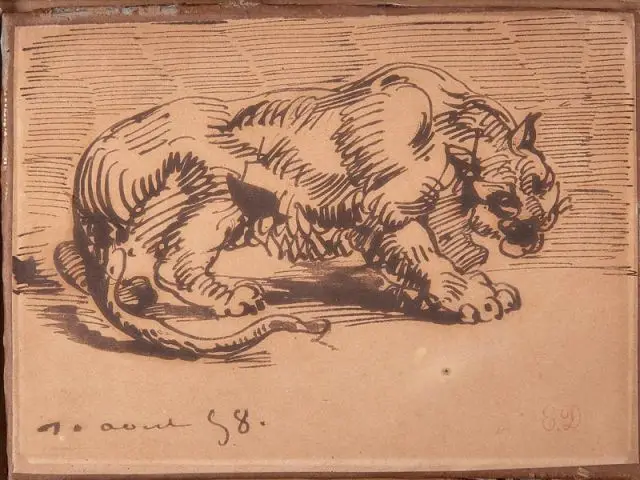 Lionne en arrêt DELACROIX