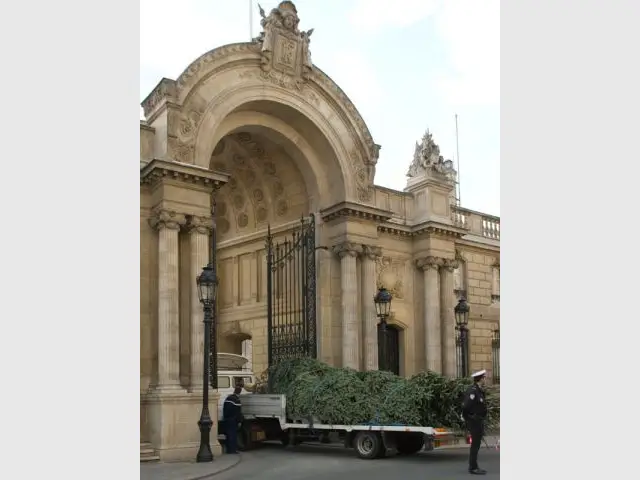 arrivée sapin elysée