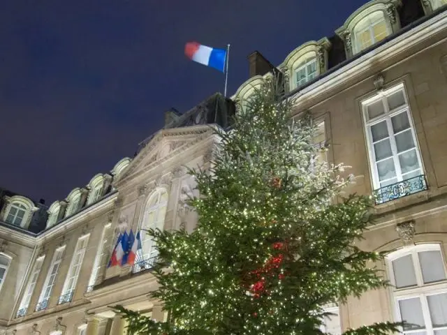 Leds - sapin ELysée