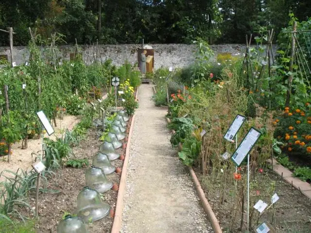 Le Potager Caillebotte