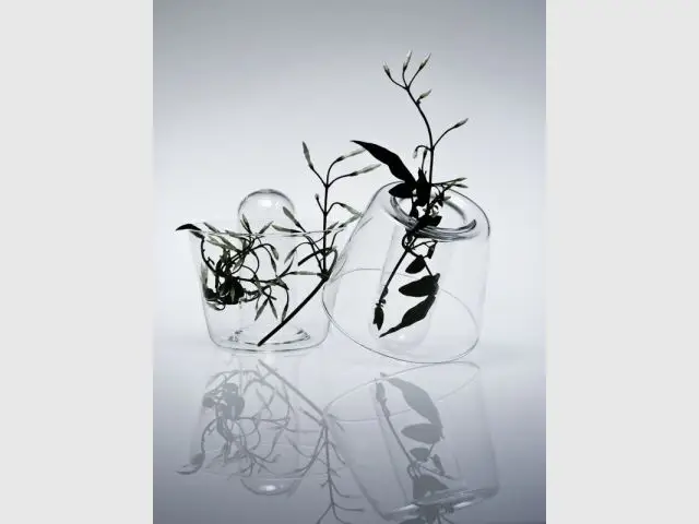 Flora Allegoria - Exposition En Verre et Contre Tout