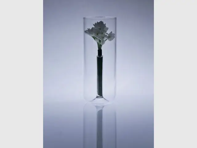 Vase Flavour - Exposition En Verre et Contre Tout