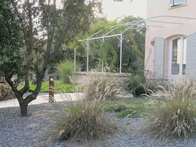 Abords piscine - Après - Jardin Gecko