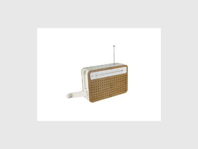 Radio dynamo bambou SAFE