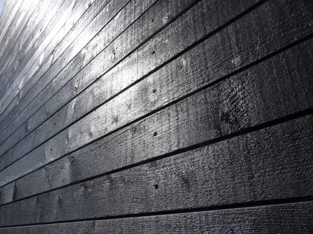 La couleur noire - maison en bois noire