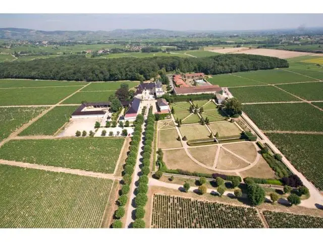 Le Château de Pizay