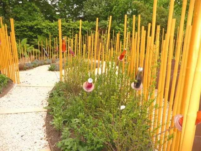 Hortithérapie sensorielle - jardin de Chaumont sur Loire