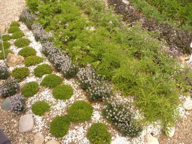 jardin de Chaumont sur Loire