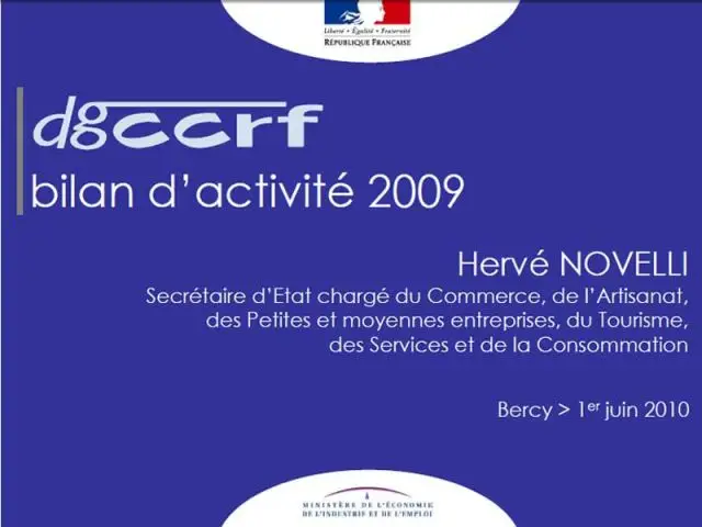 Bilan DGCCRF 2009