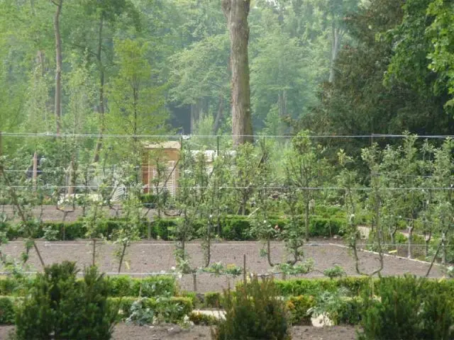 jardin Cocteau