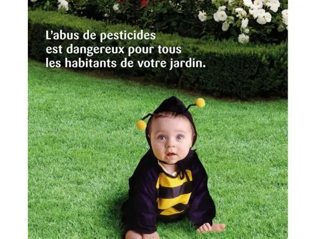 jardin bébé abeille