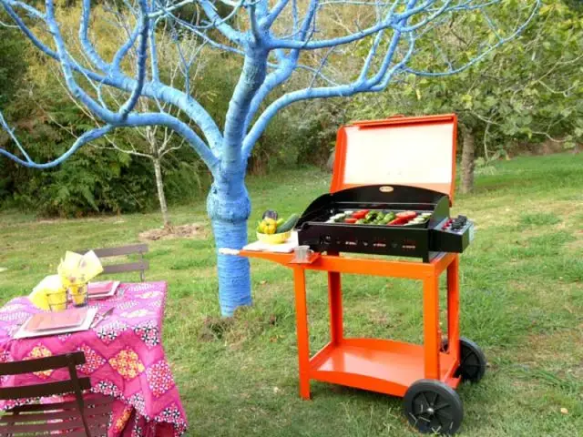 Haut en couleurs - barbecue