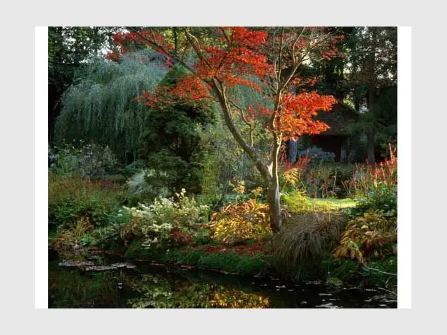 Un jardin unique - Château de Courances