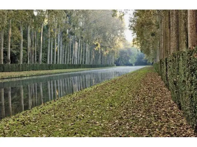 Le grand canal - Château de Courances