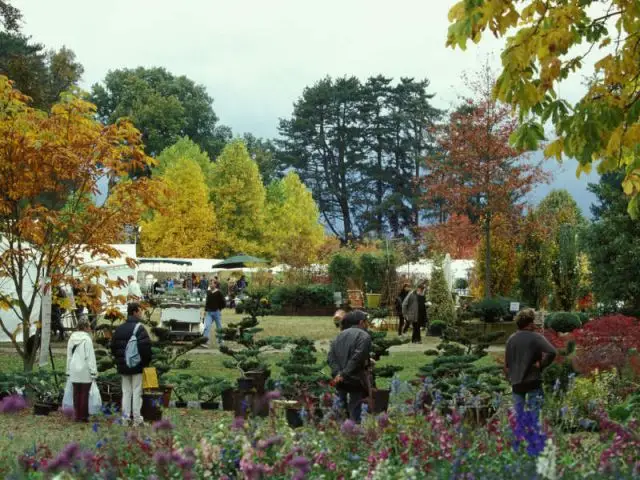 Domaine de Courson - fête des plantes