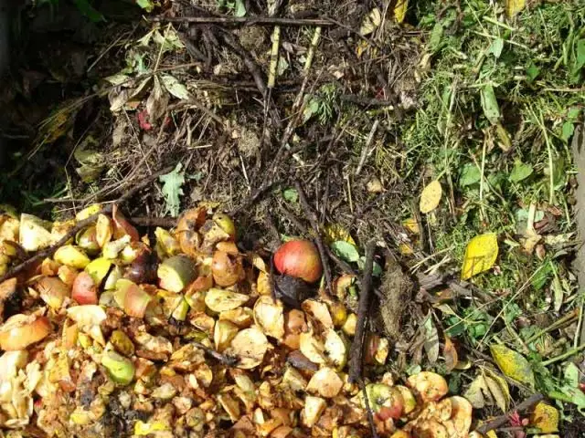 Jardin automne compost