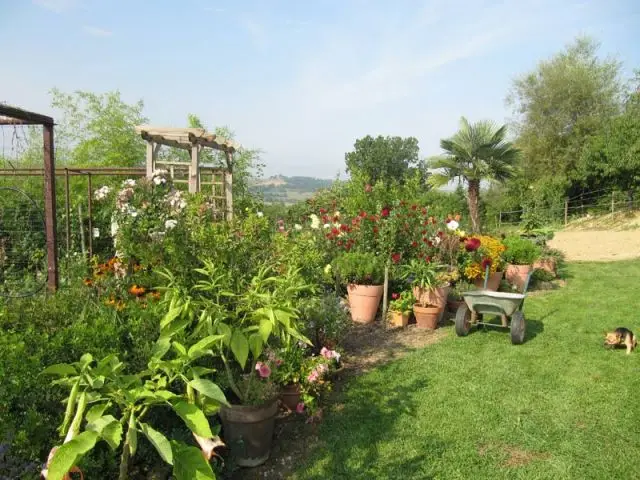 Jardin potager 2010 - SNHF