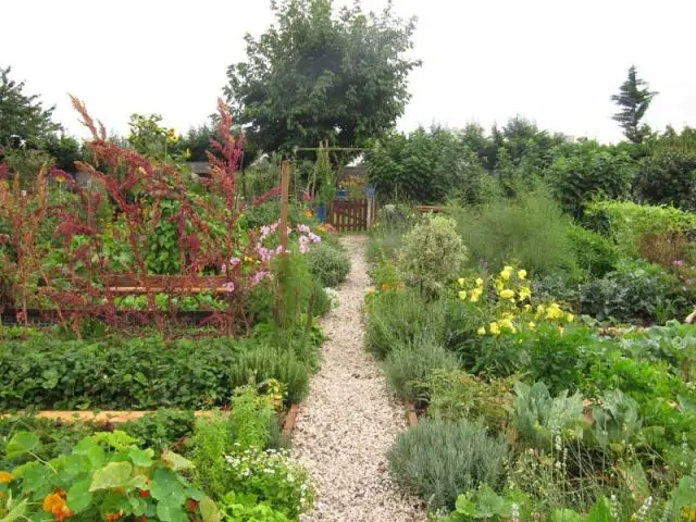 Grand Prix et Prix "Papillons & Jardin" - Jardin potager 2010 - SNHF