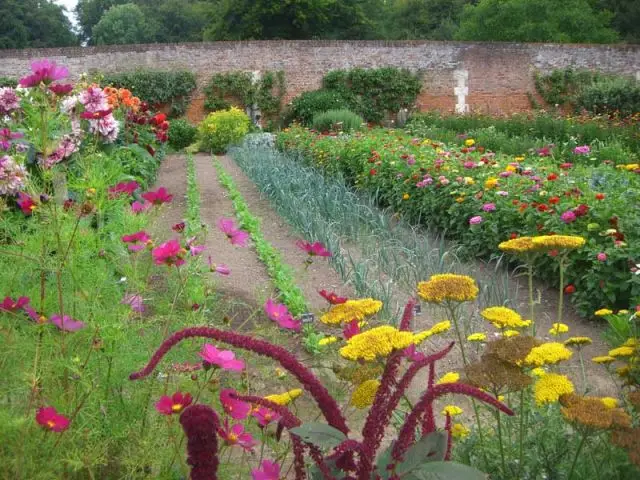 Grand Prix  - Jardin potager 2010