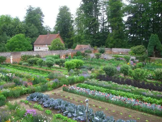 Jardin potager 2010