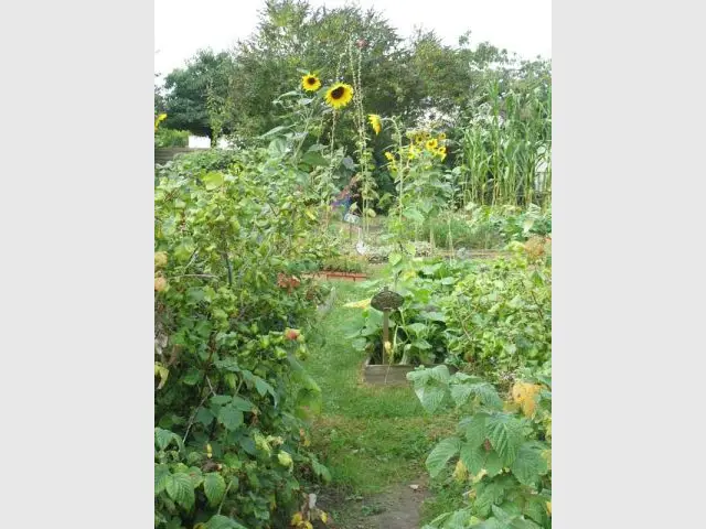 Grand Prix  - Jardin potager 2010