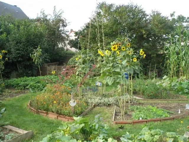 Grand Prix - Jardin potager 2010