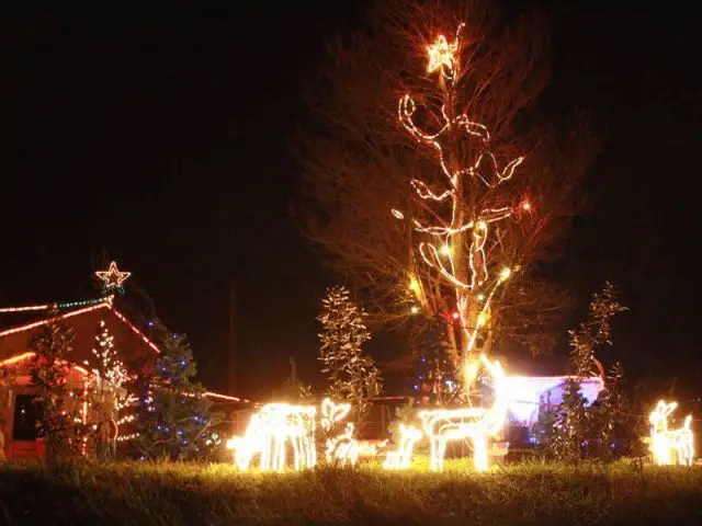 Les rennes - Noel maison illuminée 2010