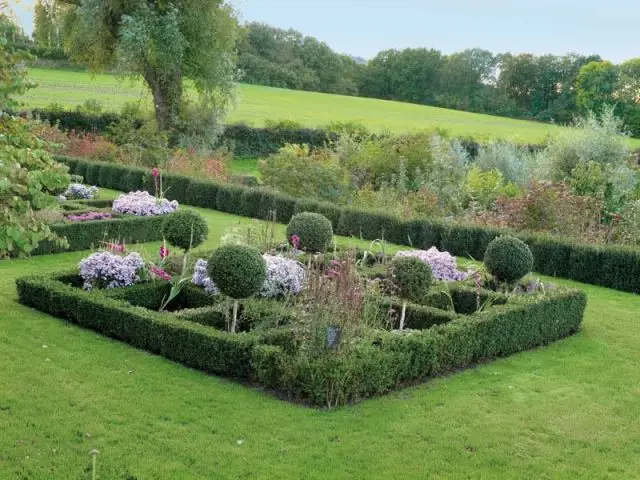 Jardin de l'année 2011