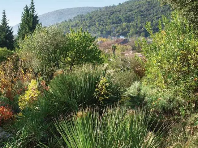 Jardin citoyen - Jardin de l'année 2011