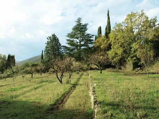 Jardin citoyen - Jardin de l'année 2011