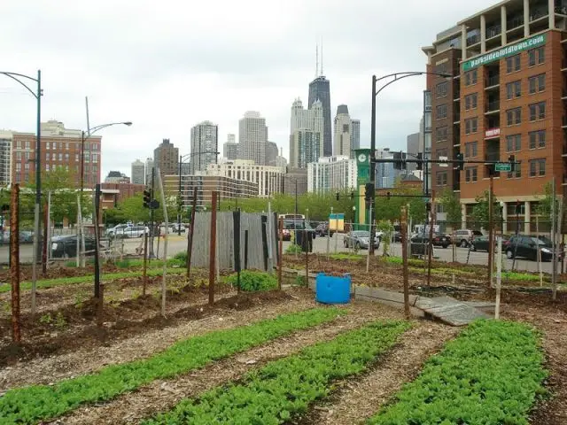 Ferme urbaine à Chicago