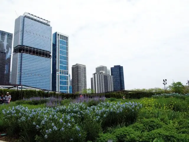 Aménagement des friches, Millennium Park à Chicago