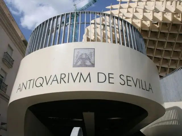 Musée d'archéologie - Parasol Seville Finnforest