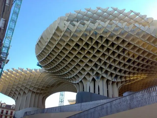 D'après l'architecte ces champignons peuvent représenter des Chanterelles - Parasol Seville Finnforest