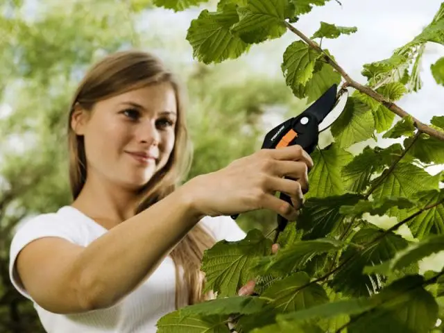 Le grand ménage de printemps... pour le jardin - Préparer son jardin au printemps