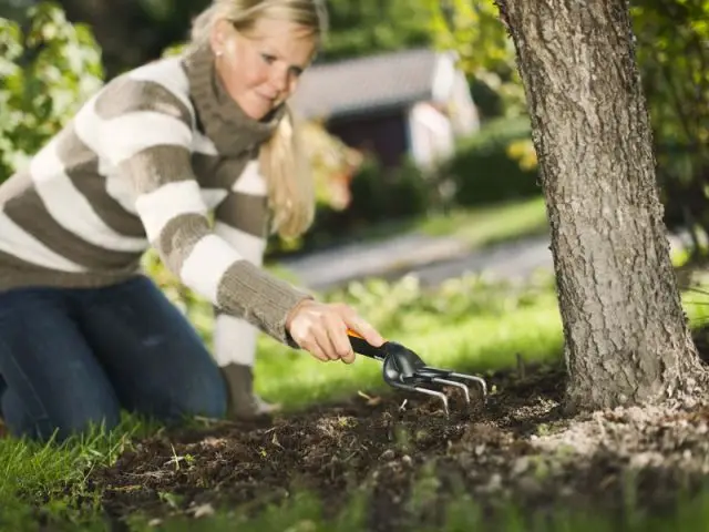 Nourrir le sol pour qu'il nourrisse les plantes - Préparer son jardin au printemps