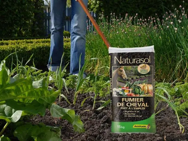 Nourrir le sol - Préparer son jardin au printemps