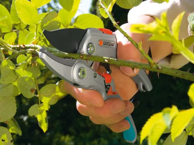 Préparer son jardin au printemps