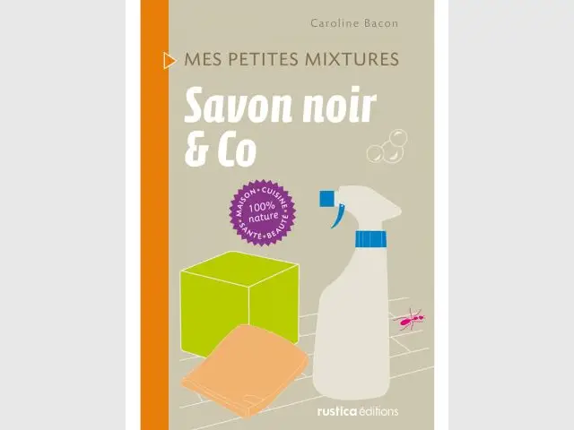 Savons - Dix livres pour une maison impeccable