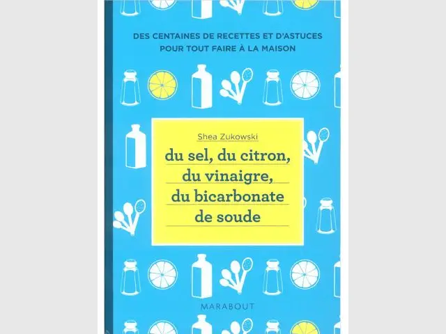 Sel, citron, vinaigre - Dix livres pour une maison impeccable