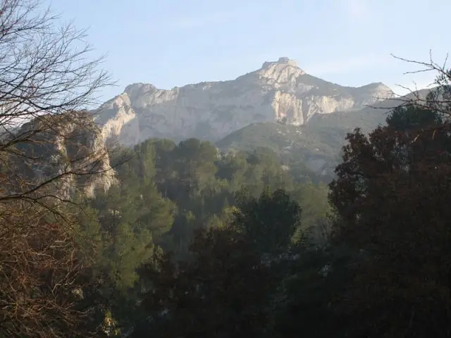 Le Gaussier dans les Alpilles