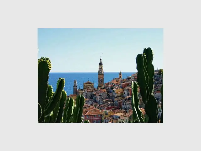 menton