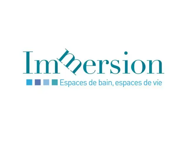 Immersion - Idéobain 2012