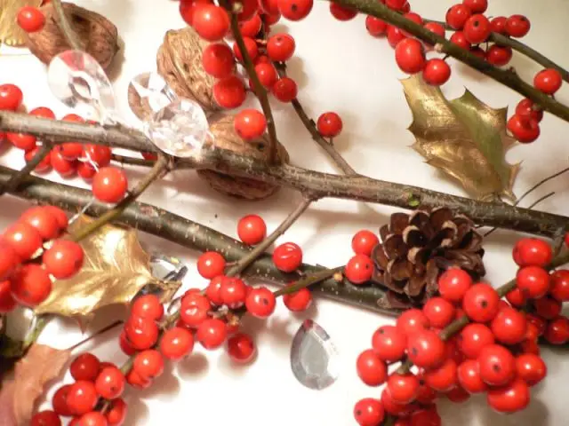 Un chemin de table naturel et festif - Déco table Noël