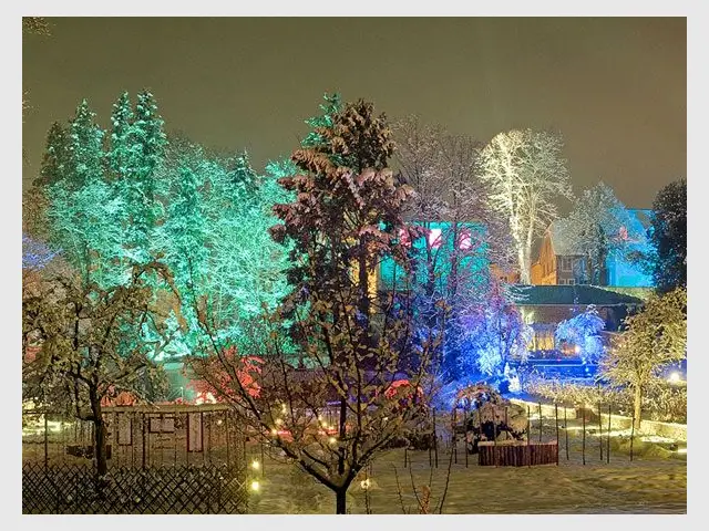 Noël au jardin - Féérie - Noël au jardin