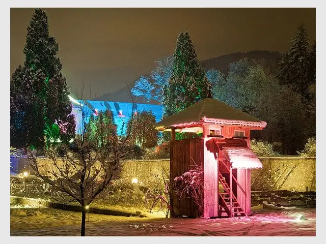 Noël au jardin - Thème - Noël au jardin