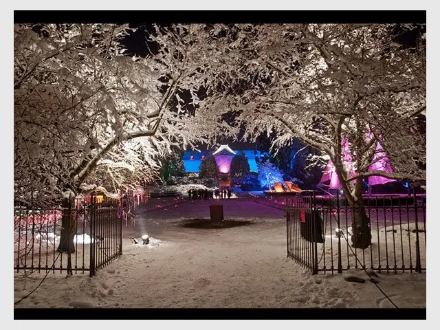 Noël au jardin - Entrée - Noël au jardin